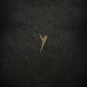 Y (Box set)